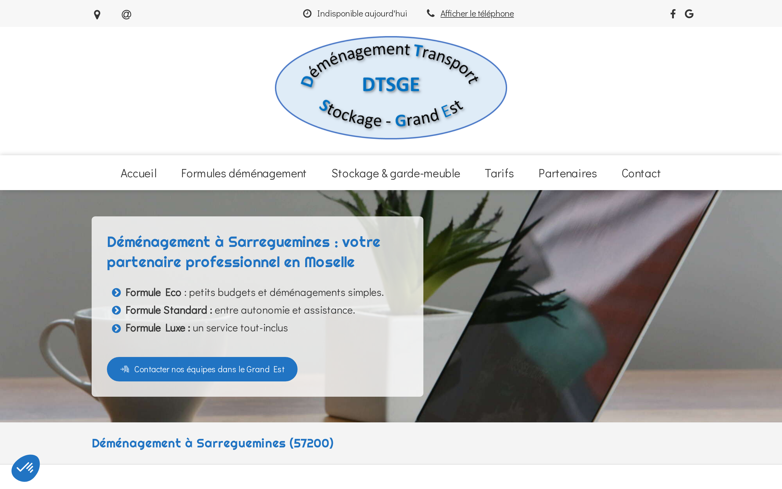 Aperçu du site DTSGE - Déménagement Transport Stockage Grand Est