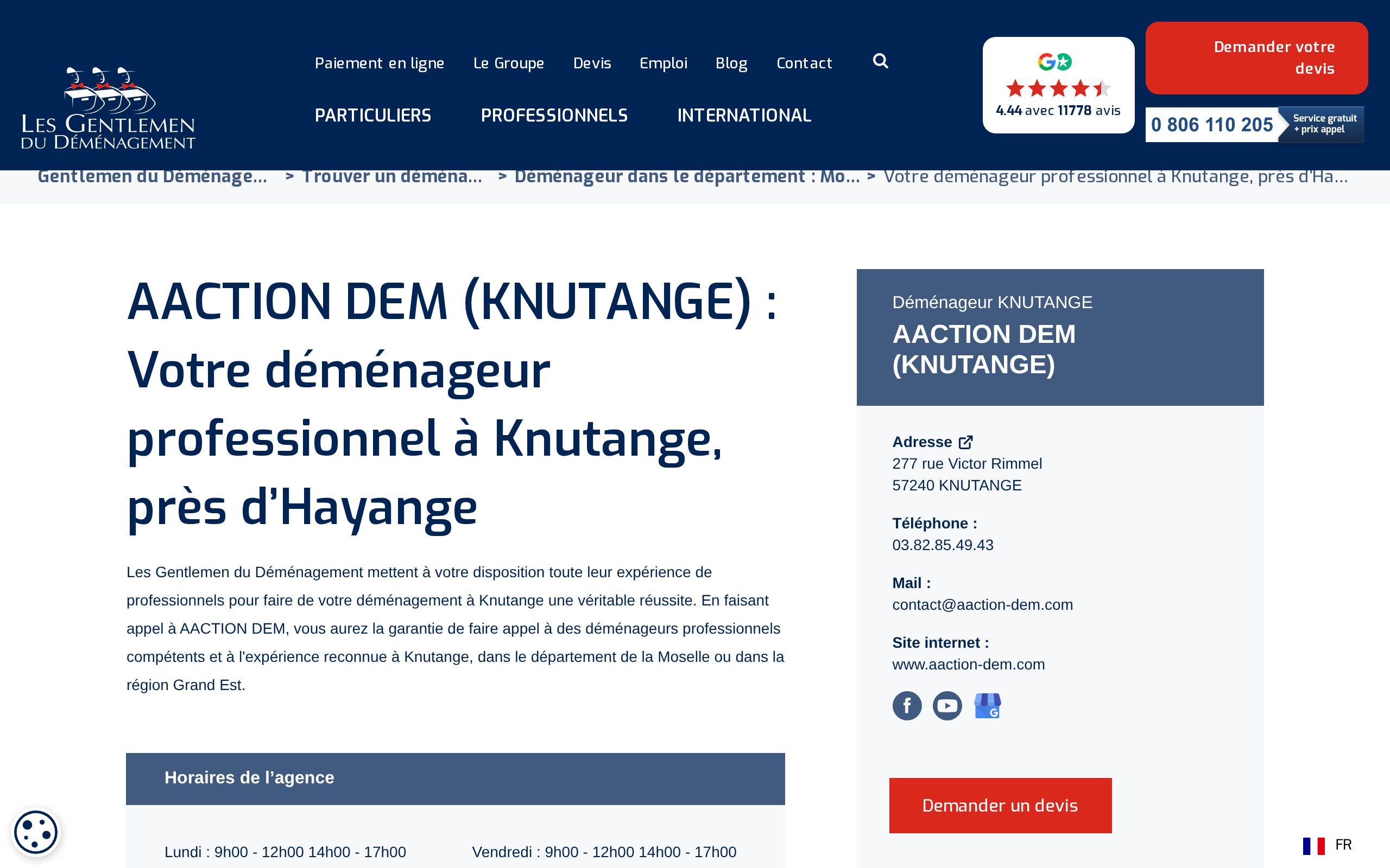 Aperçu du site AACTION DEM